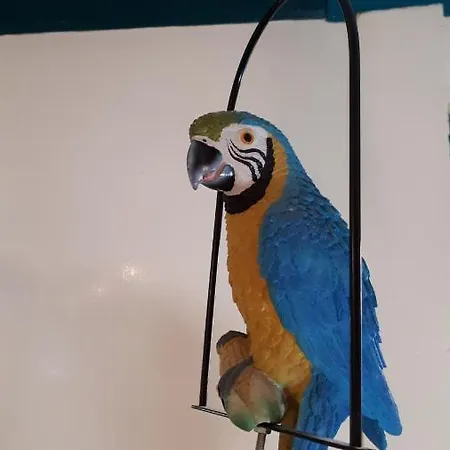 Boat & Breakfast Alhena Hotel