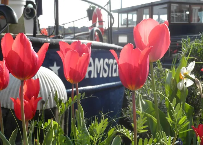 Hotel Boat & Breakfast Alhena