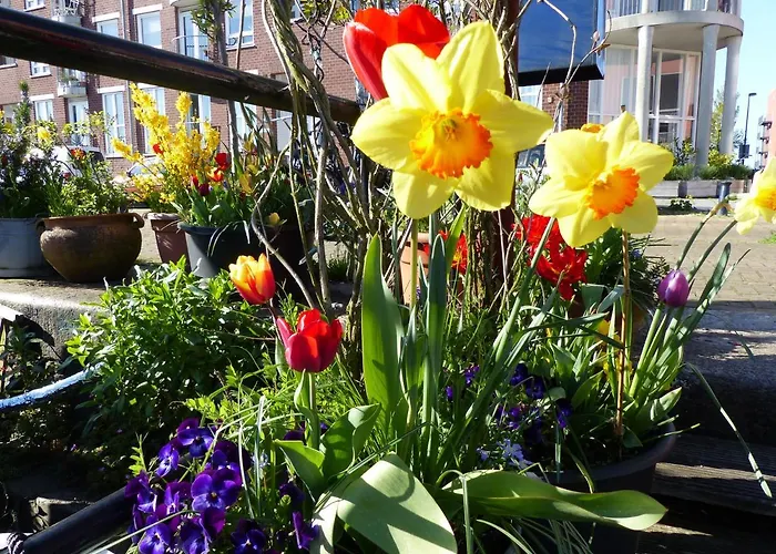 Boat & Breakfast Alhena Hotel Amsterdam