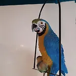 Boat & Breakfast Alhena Hotel