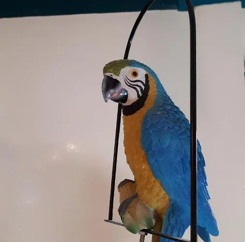 Boat & Breakfast Alhena Hotel